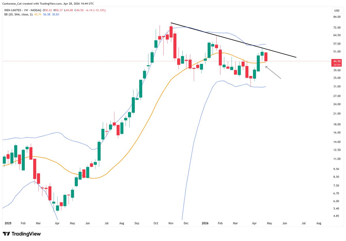 Cantonese Cat 🐱🐈 tweet media