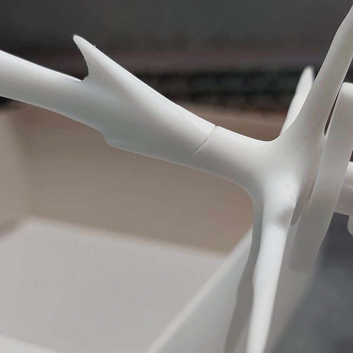 サンゴショウ tweet media