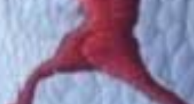 No_Name_Avbl's tweet photo. @mrchristwibowo @g_o_n_z_o WTF?¡?¡?¡?¡ https://t.co/Se4xNtHbyh