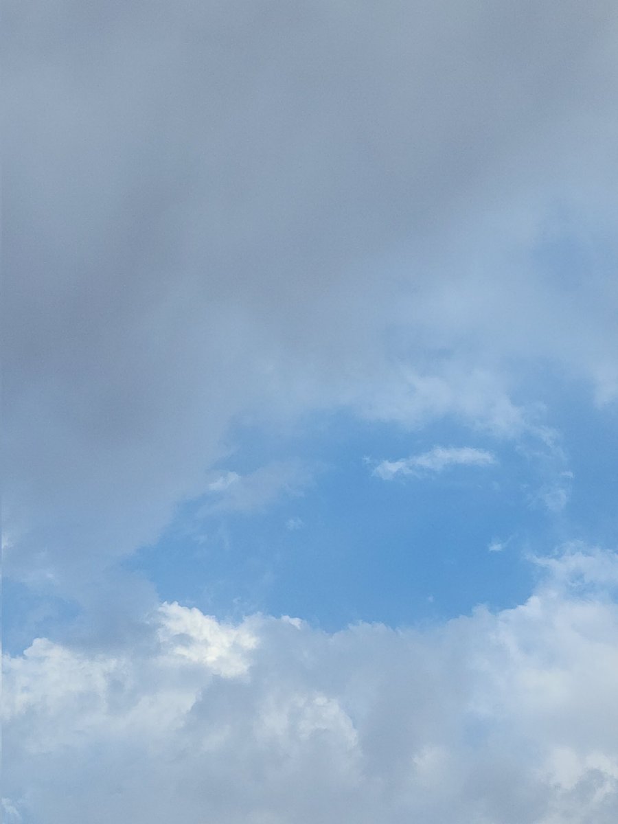 بُولِيآنثآ☁️🍃 tweet media
