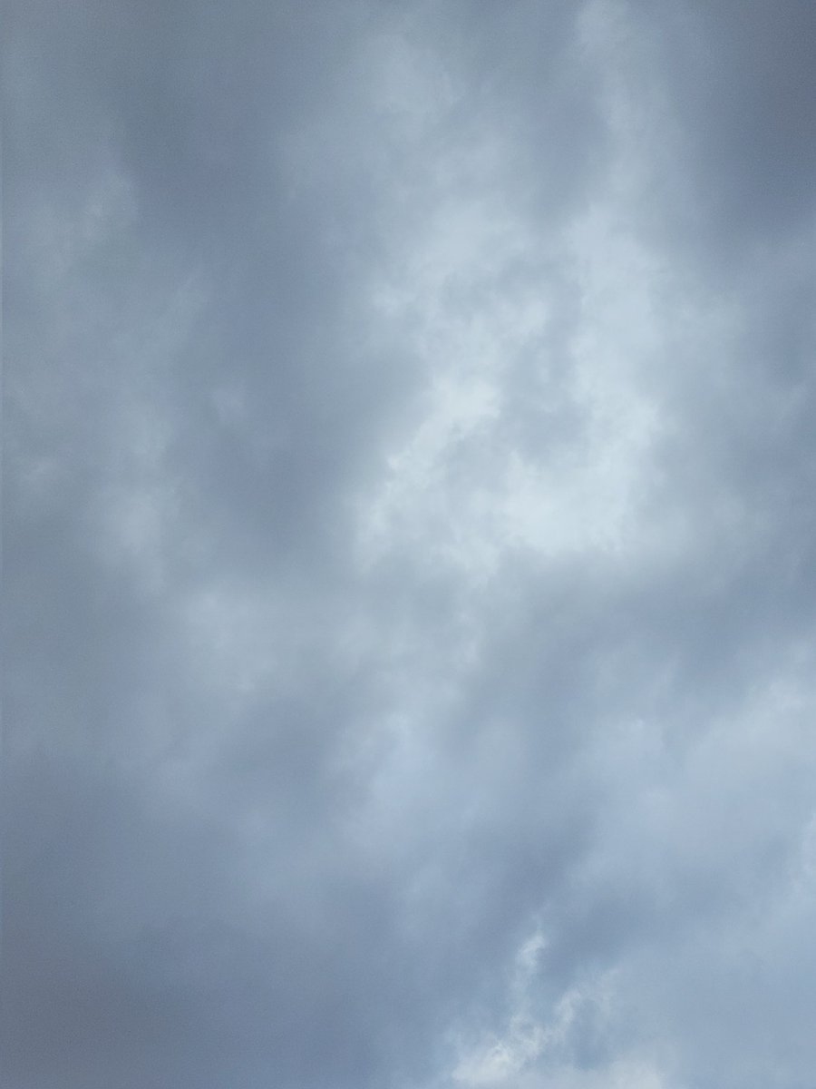 بُولِيآنثآ☁️🍃 tweet media