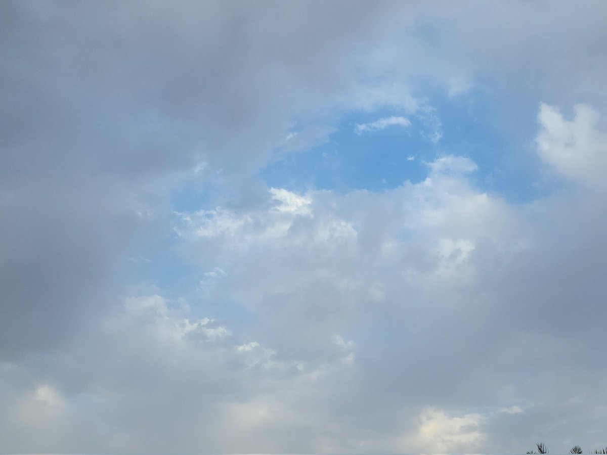 بُولِيآنثآ☁️🍃 tweet media