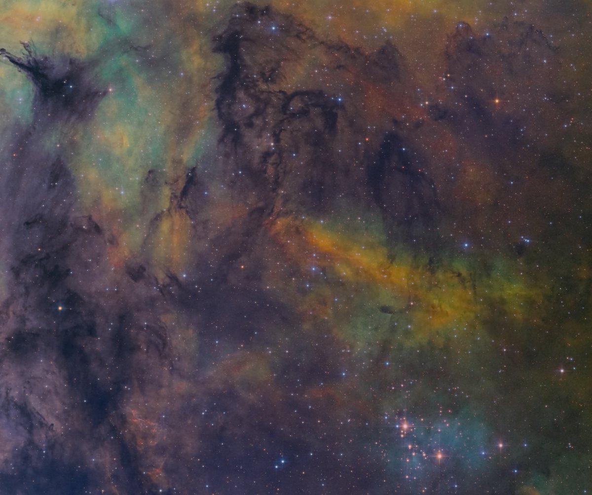 Andrew McCarthy tweet media