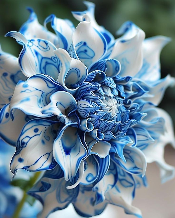 Flowers tweet media