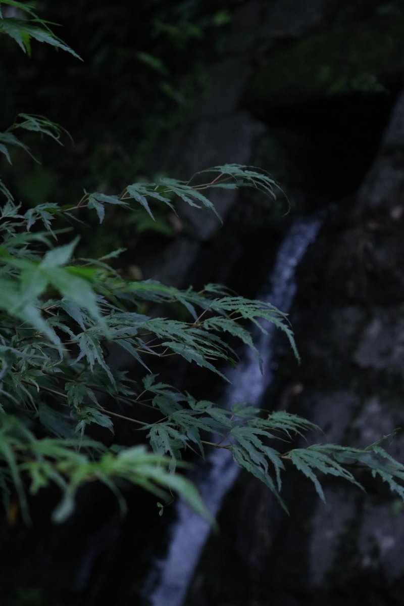 納豆ネギラー油📷🔰 tweet media