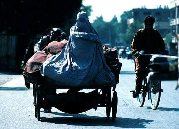 Najeem yalman tweet media