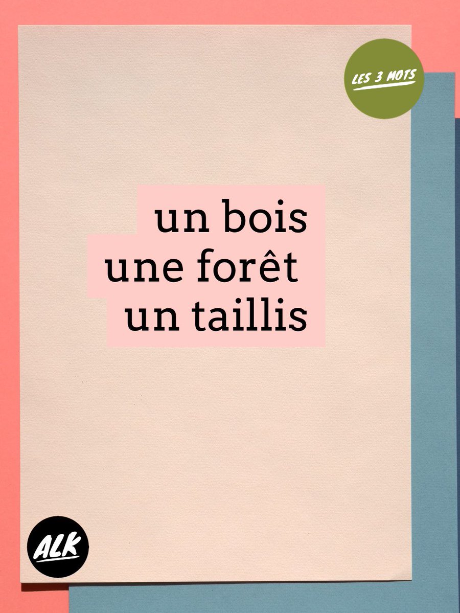 alk_info's tweet image. Les 3 mots 

Voici trois mots à utiliser pour construire une phrase. Vous avez carte blanche.

Here are three words you have to use to build a sentence. You have carte blanche.

#learnFrenchwithArnaud #create #practice