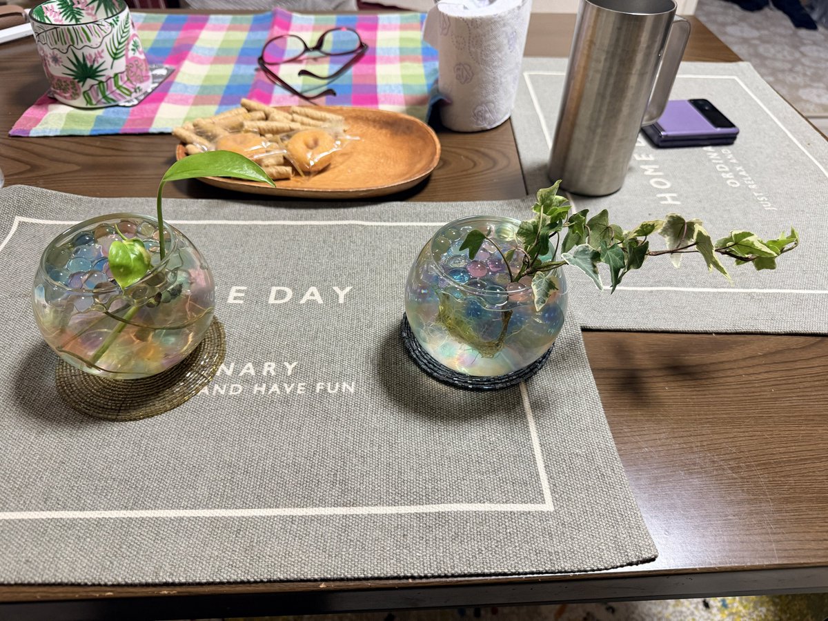 め🐢 tweet media