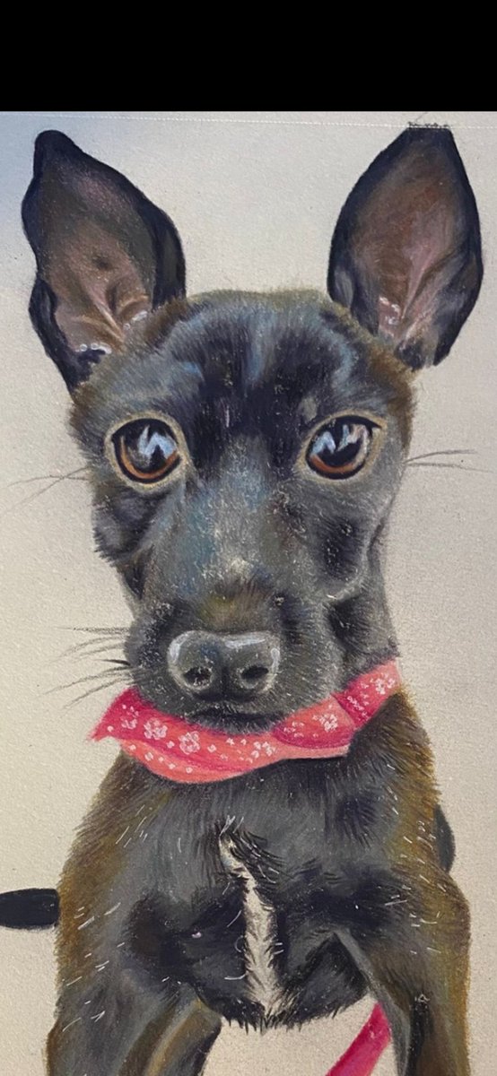 sirota_nistarija tweet media