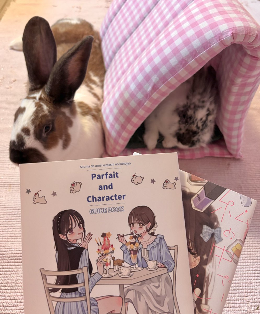 AME@プロフィール必読ページ my akumade amai watashi no kanojo guidebook finally arrived & i
