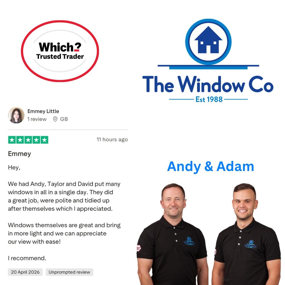 The Window Co tweet media