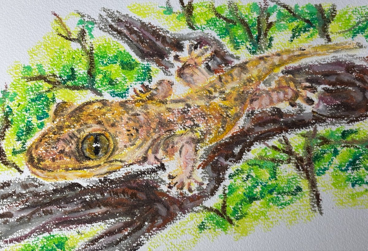 ✴️特別価格【原画】『ペタモス』（ヤモリ　パステル画　和風 サムライ　忍者） 原画】『ペタモス』（ヤモリ 爬虫類 パステル画 和風 武士 サムライ