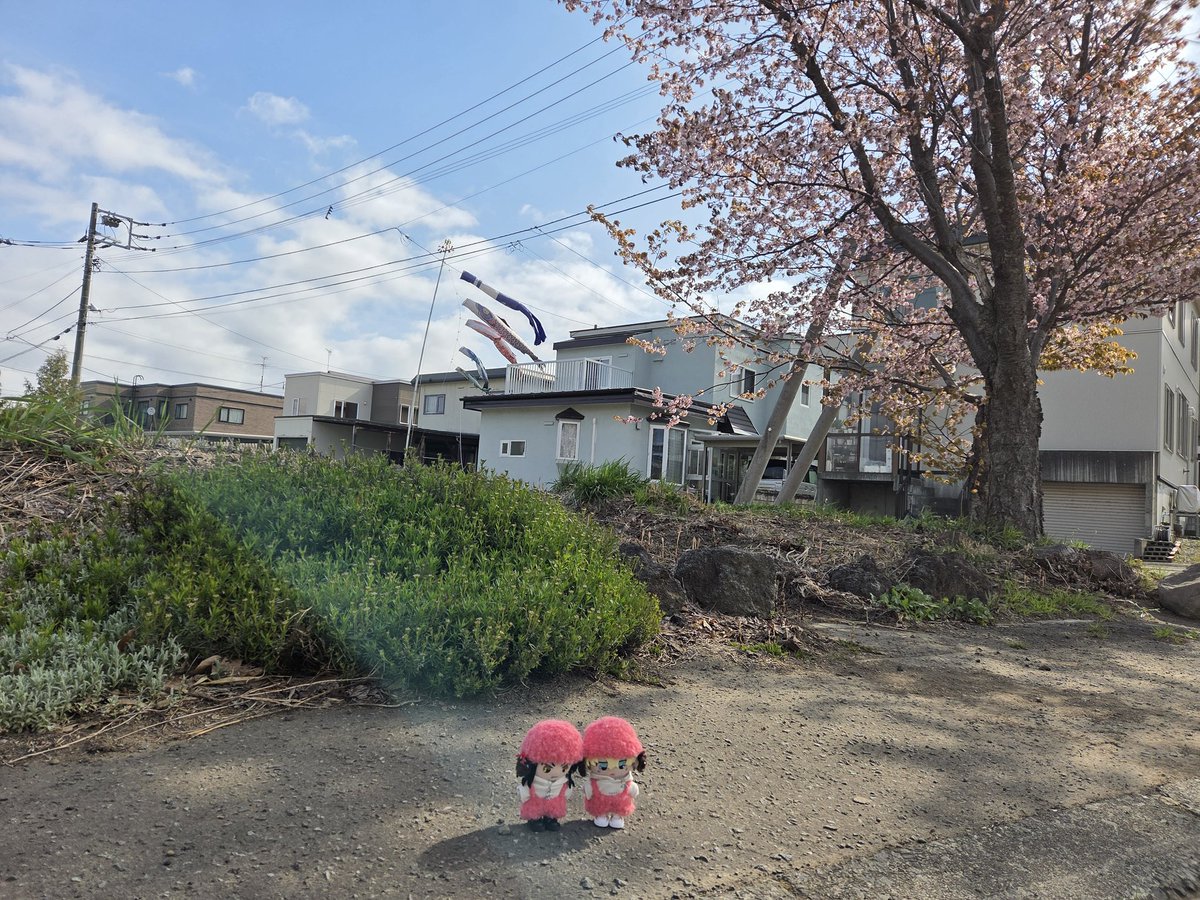 さやや🐺❄️2025/7/13 星願 西3 E46ab tweet media