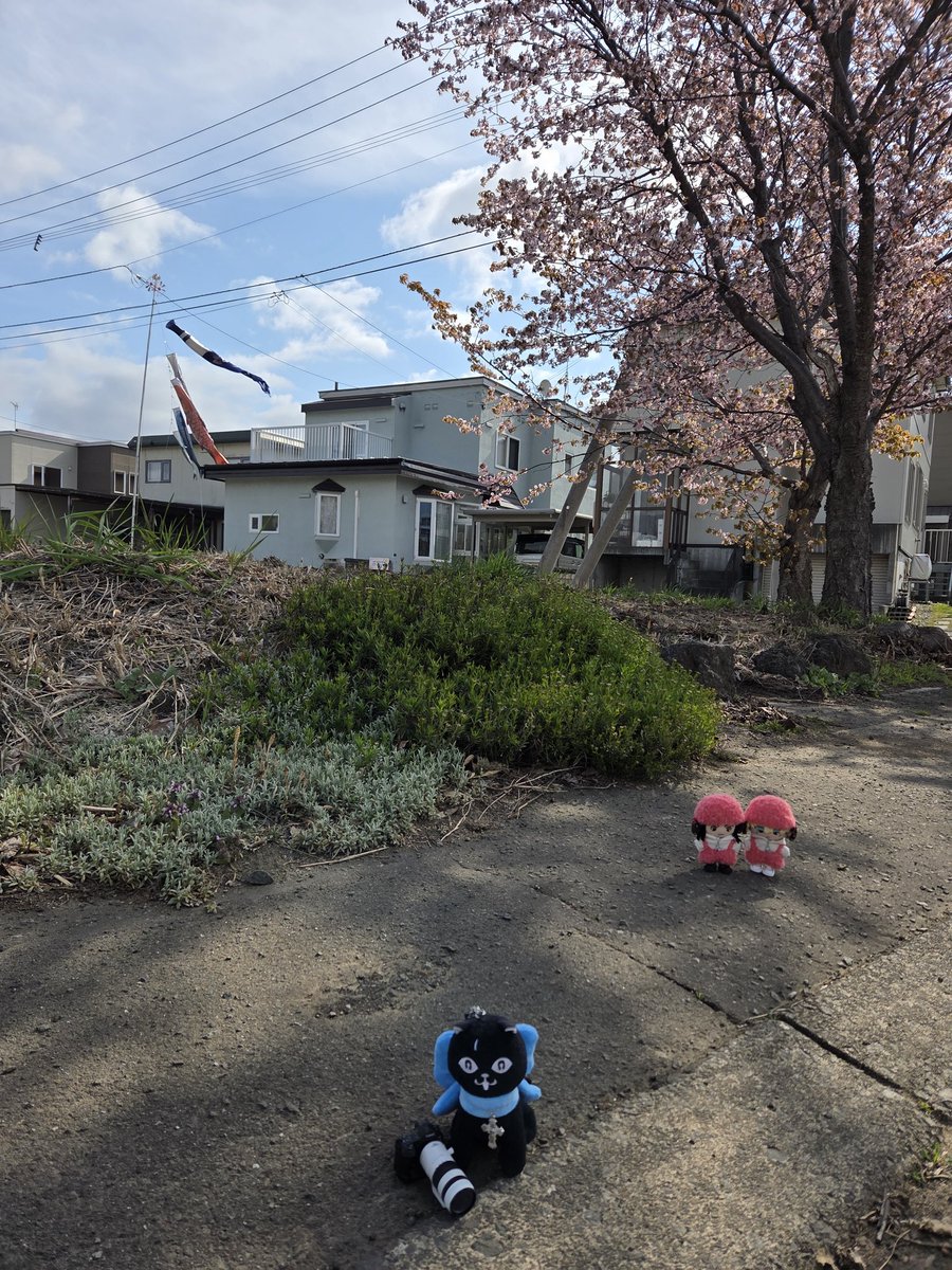 さやや🐺❄️2025/7/13 星願 西3 E46ab tweet media