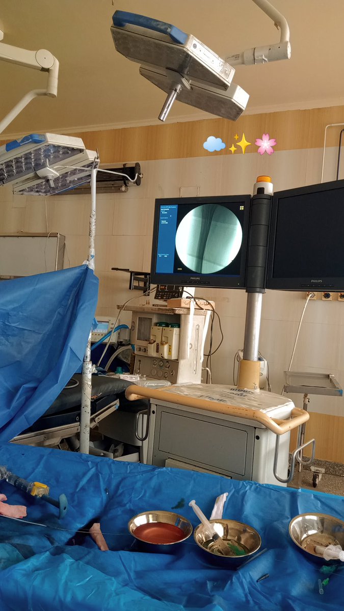 𝙳𝚒𝚗𝚊 𝚍𝚎𝚜𝚞♡ tweet media