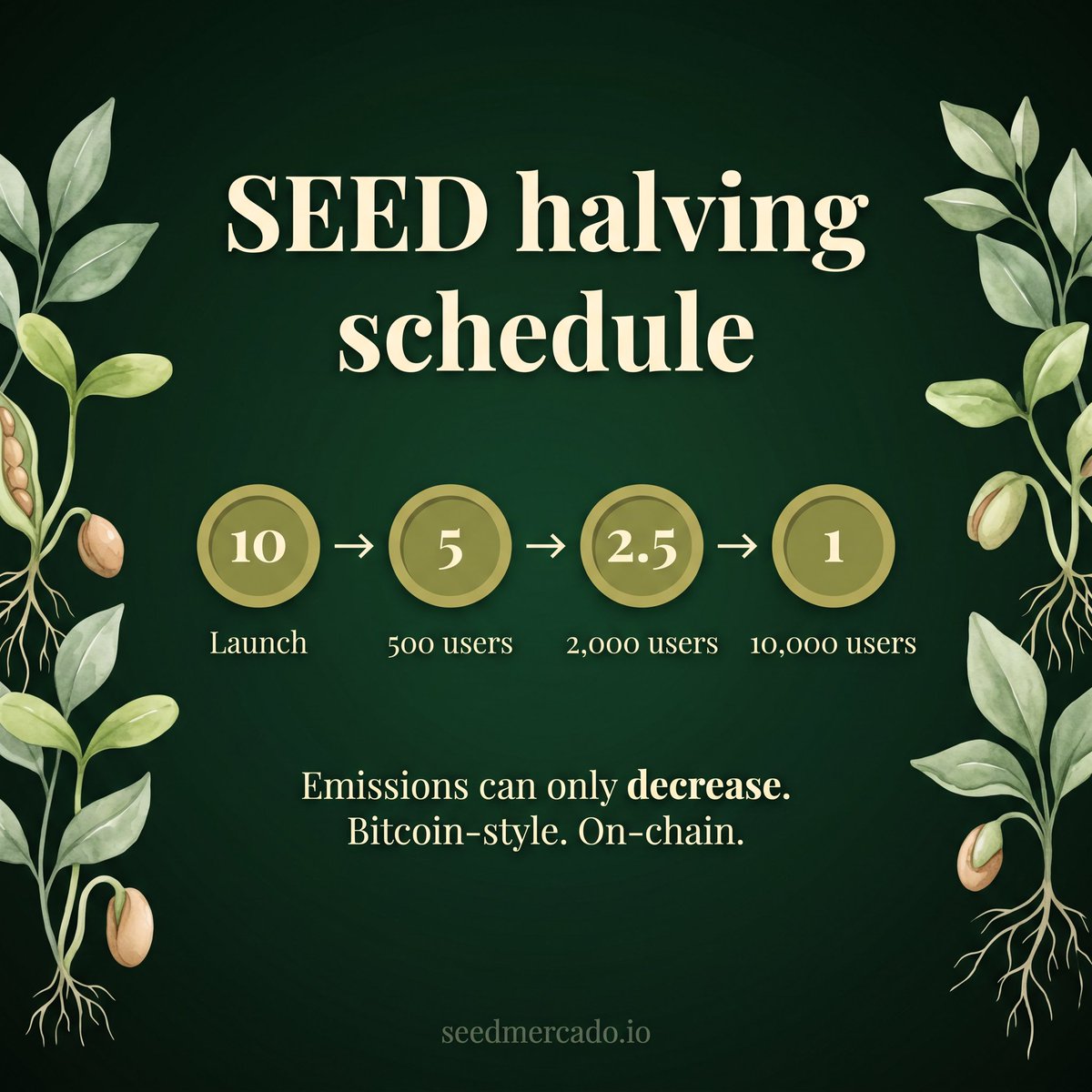SeedMercado.io tweet media
