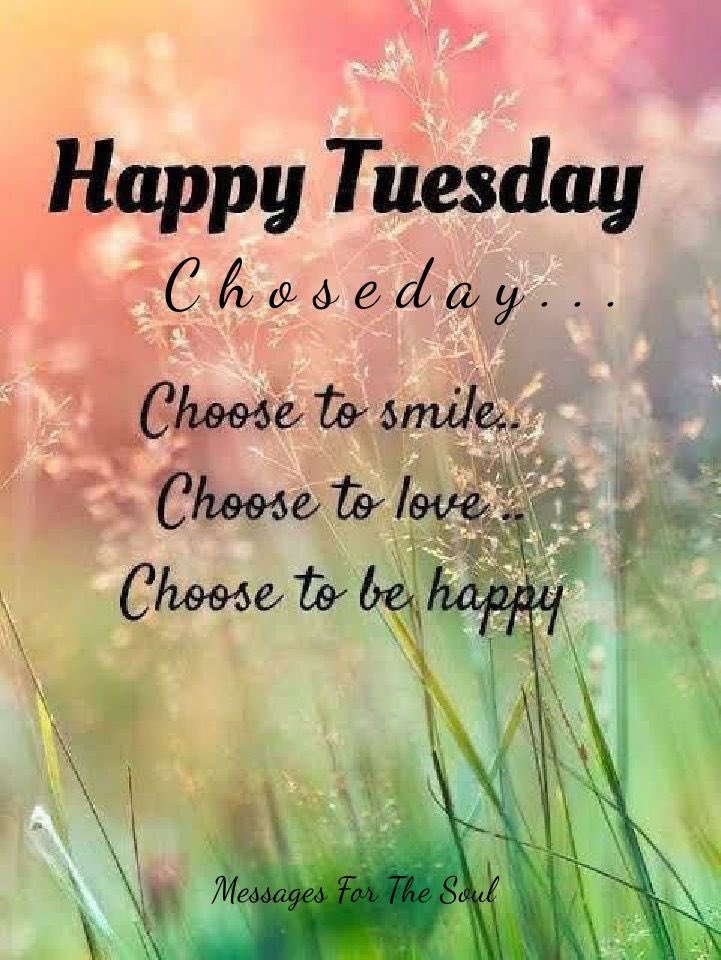 DannyGautama's tweet image. To effectively and efficiently improve your mental health, even the smallest things you enjoy can mean everything. Don’t complicate and overwhelm yourself. If you enjoy doing it, then do it. 
I will choose “Happiness” for 1000, Alex.🩷
#TuesdayMotivation #MentalHealth