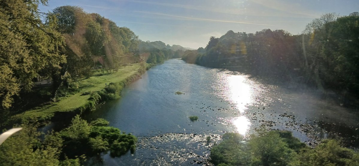 VPrns EisgnomFan 🏳️‍⚧️🐻‍❄️ tweet media