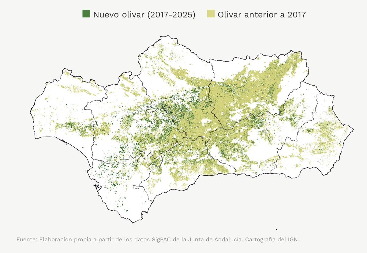 DATADISTA tweet media