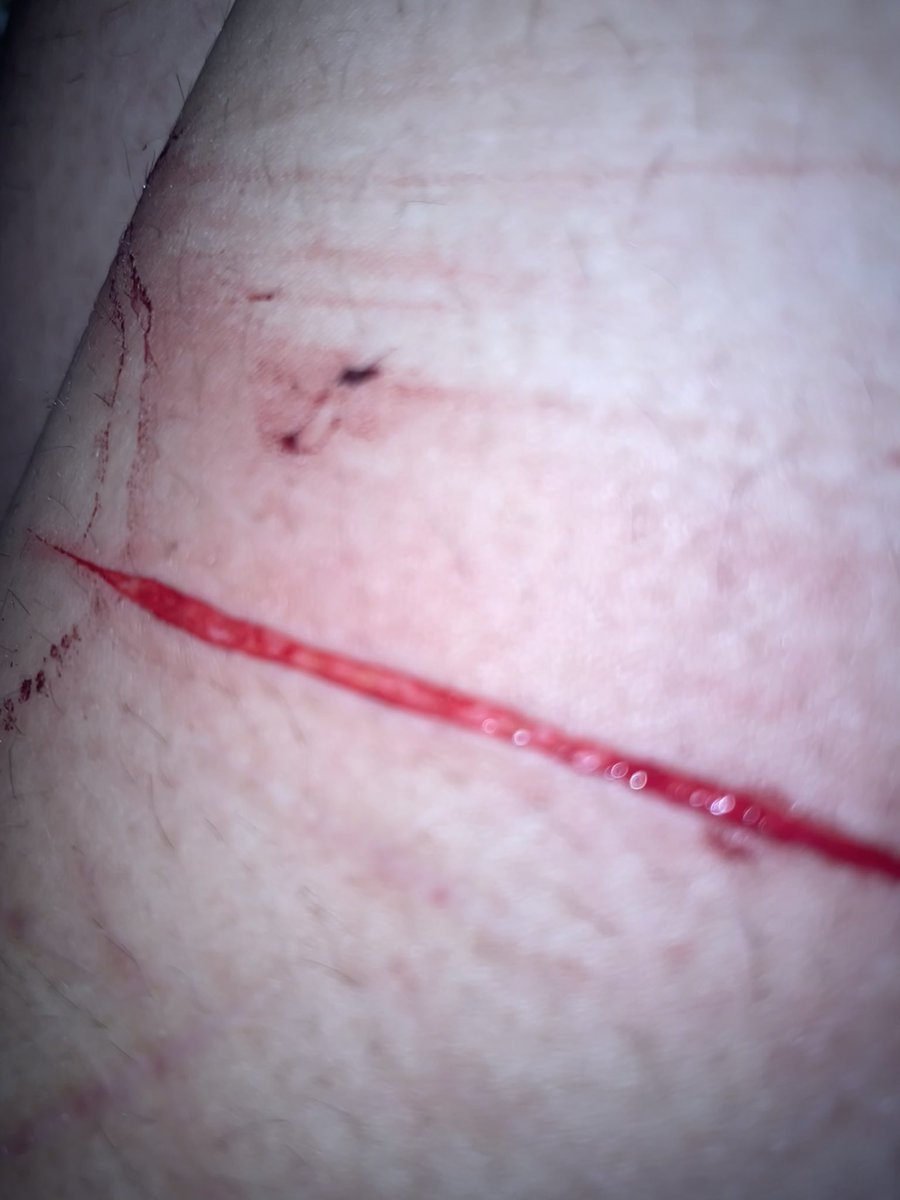 pup mina tweet media