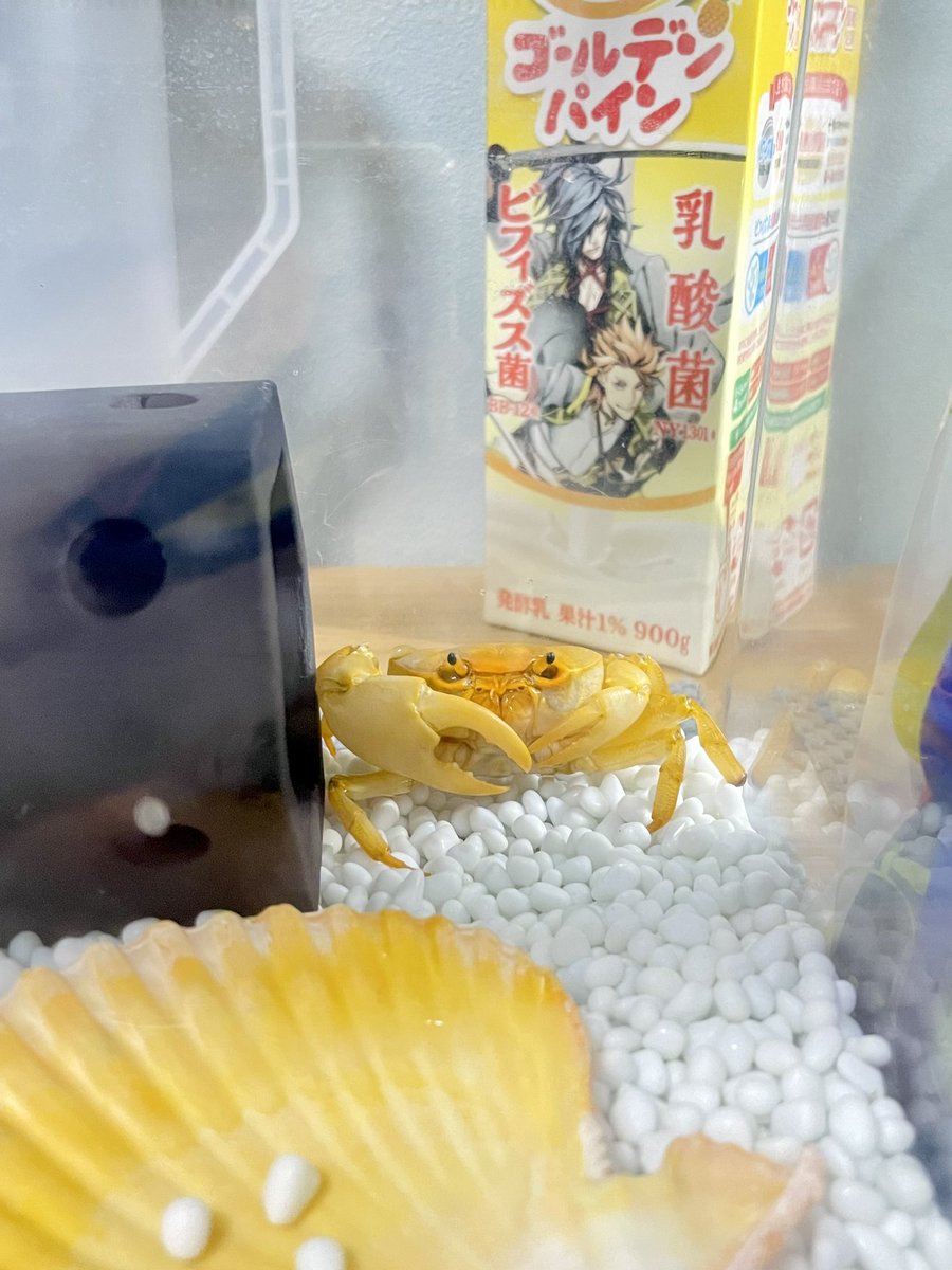 挽肉の世 tweet media