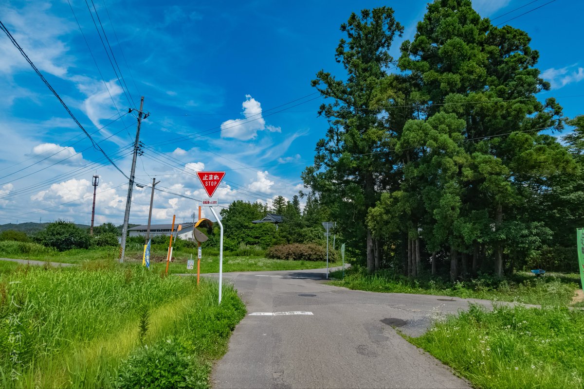 一人旅研究会 tweet media