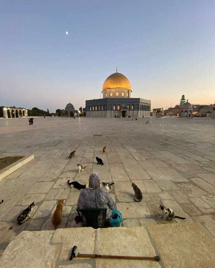 YasmiinFar95726's tweet image. 🕊️ Jerusalem, the capital of peace
Can peace truly define its future? 🤔
#Jerusalem #Peace #MiddleEast 🌍🕊️