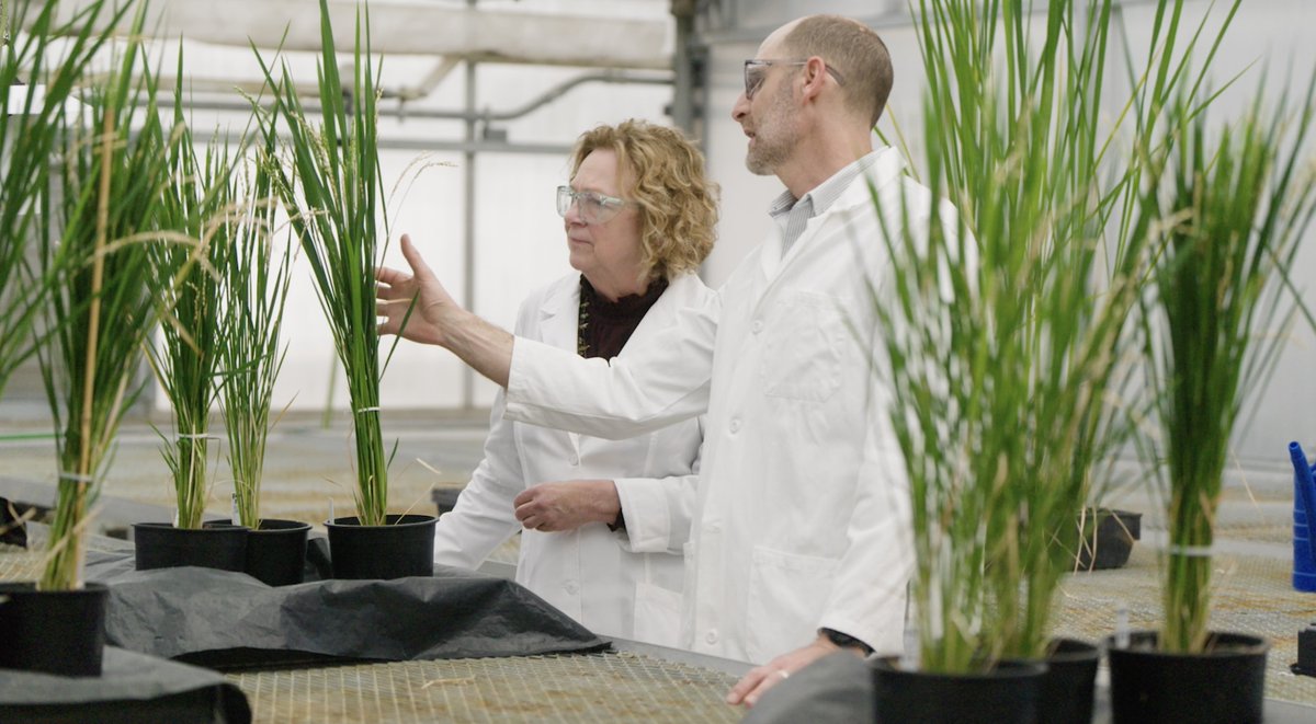 Foundation for Food & Agriculture Research (FFAR) tweet media