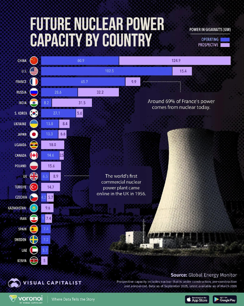 Visual Capitalist tweet media