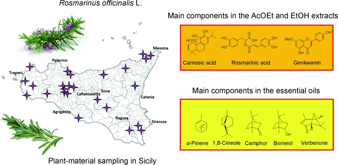 SpecialeAntonio's tweet image. Chemical diversity of wild Sicilian rosemary revealed by morphology, LC‑MS and GC‑MS, with measurable antioxidant activity in vitro. link.growkudos.com/1exlis3umf4 onlinelibrary.wiley.com/doi/10.1002/cb… #Phytochemistry #EssentialOils #Antioxidants #PlantDiversity #MediterraneanPlants