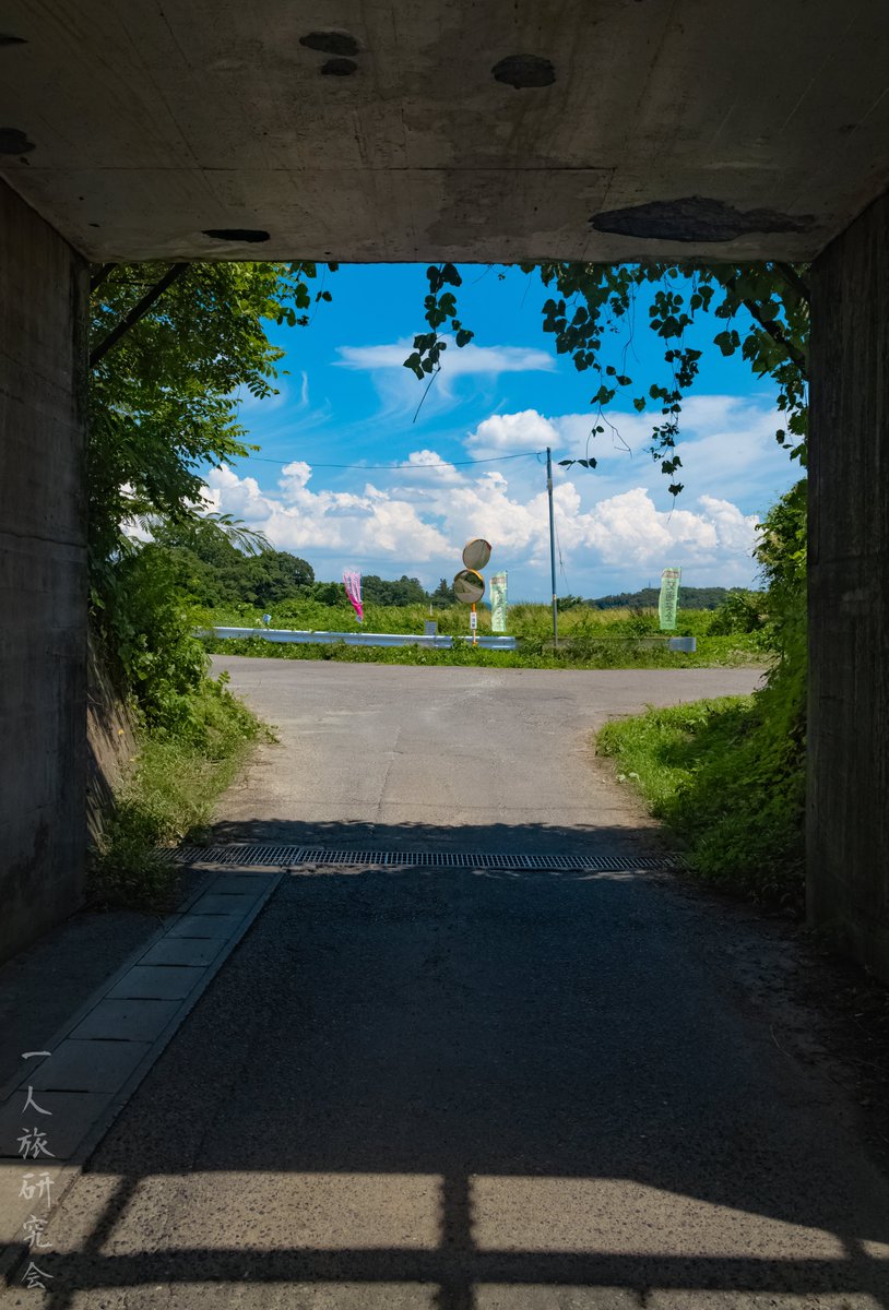 一人旅研究会 tweet media