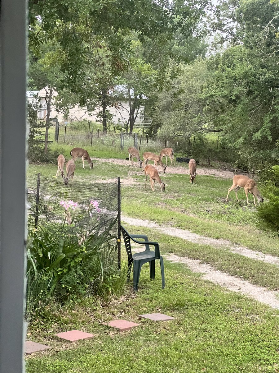 Charlie Johnson 🧬=🌽🦠🌾🐐🌻🍤🌱🦬🍅🦏🌲🦁 tweet media