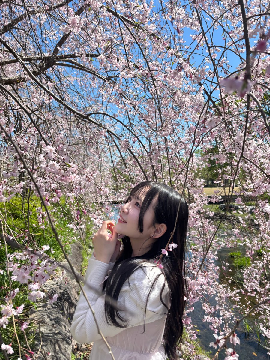 ゆあち🐹Cotton Candy (@yuachi_cc12) / Posts / X