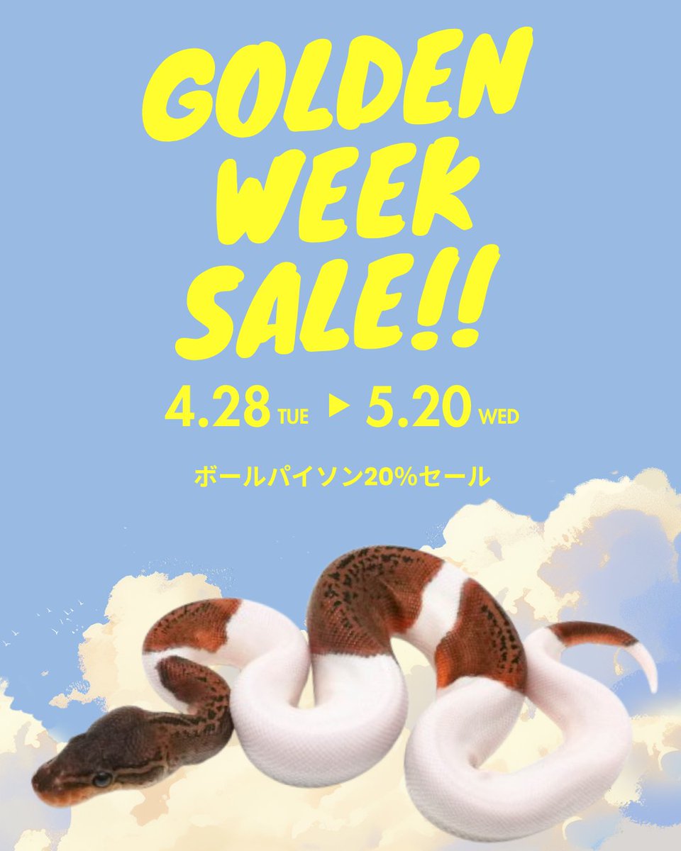4/28~5/20
少し長いGWセールが始まります
対象は取寄せリスト&amp;店頭リストのボールパイソンです。

期限内ご予約のボールパイソン全生体20%OFF
追加割引対象外になります
既存の予約は適用外になります🙇
店頭リストも対象になりますのでお気軽にご来店お願いします✨

<a href="/FABULOUS_PARK_/">Fabulous_Park</a>

USSI OSAKA
