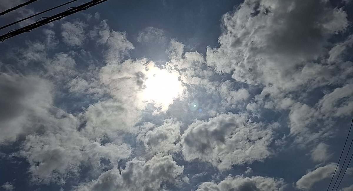 今日メチャクチャ暑かったね