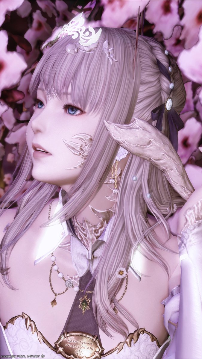 みかん🍊🌸🚢 tweet media