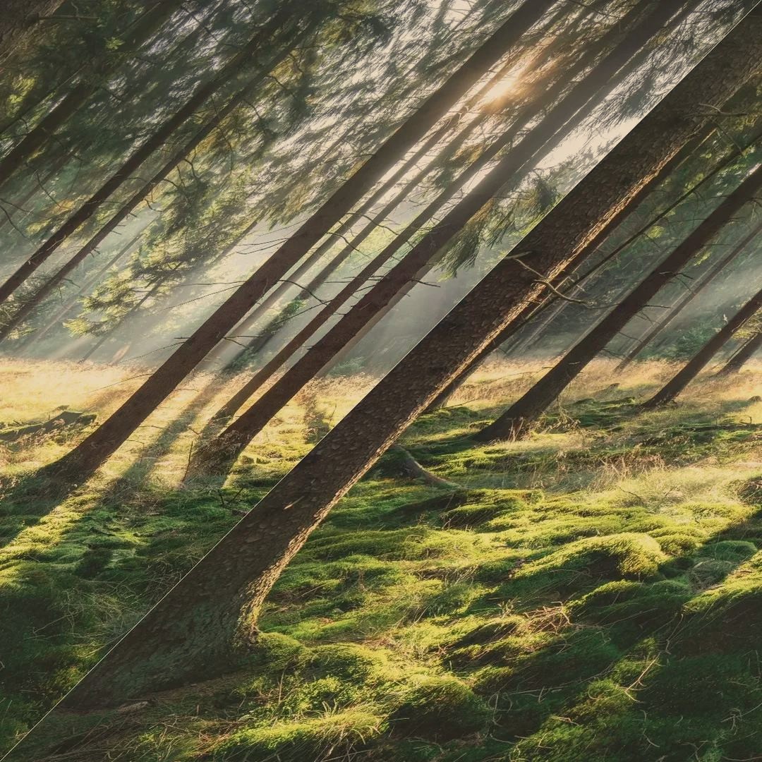 I let go of each day's tension and inhale a deep sense of calm.