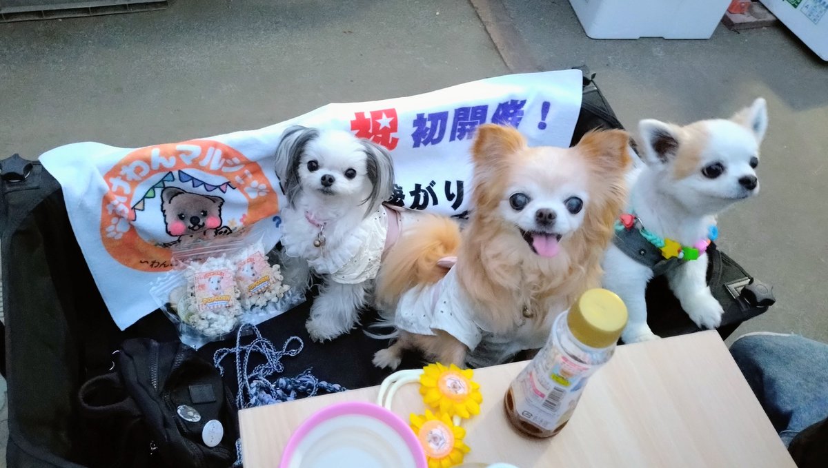 かおりん tweet media