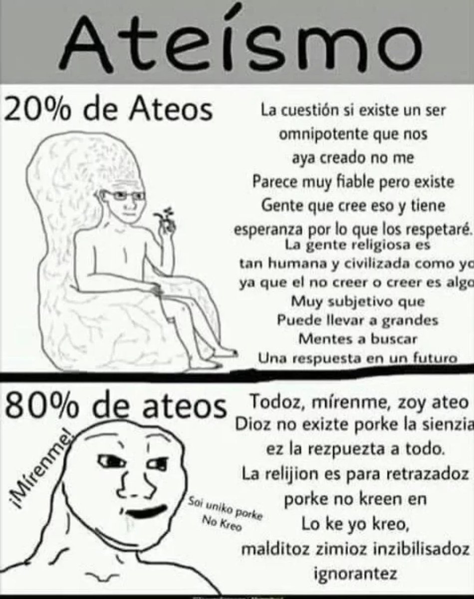 LA NARANJA DEL COVER ORANGE tweet media