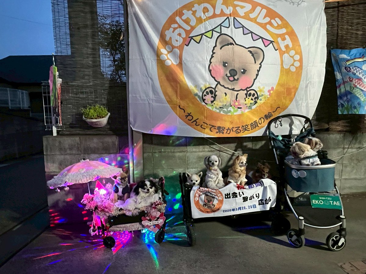 かおりん tweet media