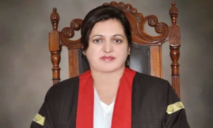 Matiullah Jan tweet media