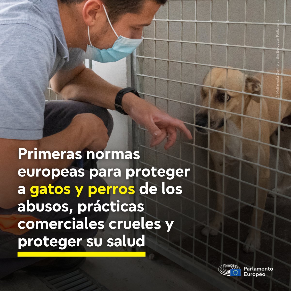 Parlamento Europeo en España tweet media