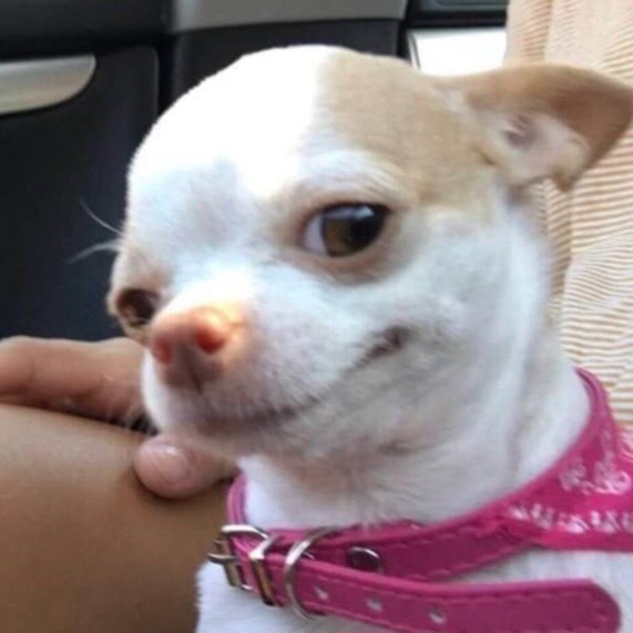 MENFESS PAGE MODE tweet media