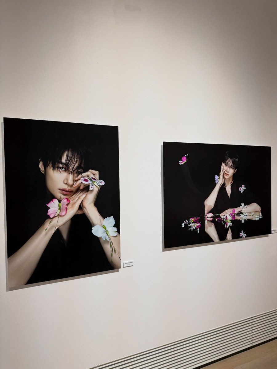 mel 🍂 tweet media