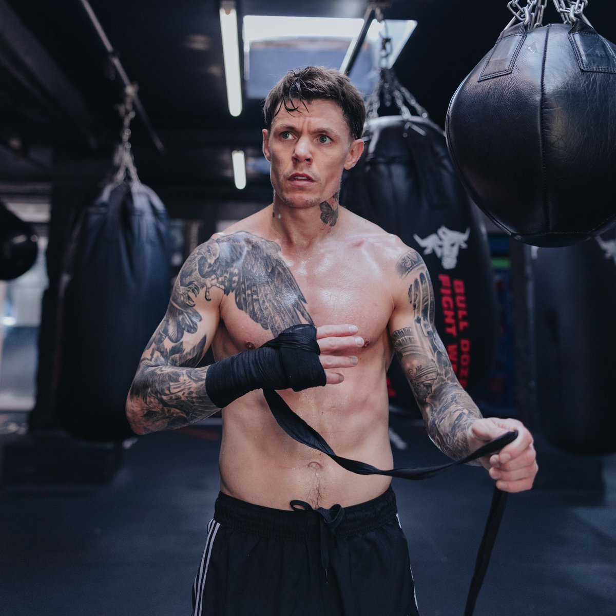 MFProBoxing tweet media