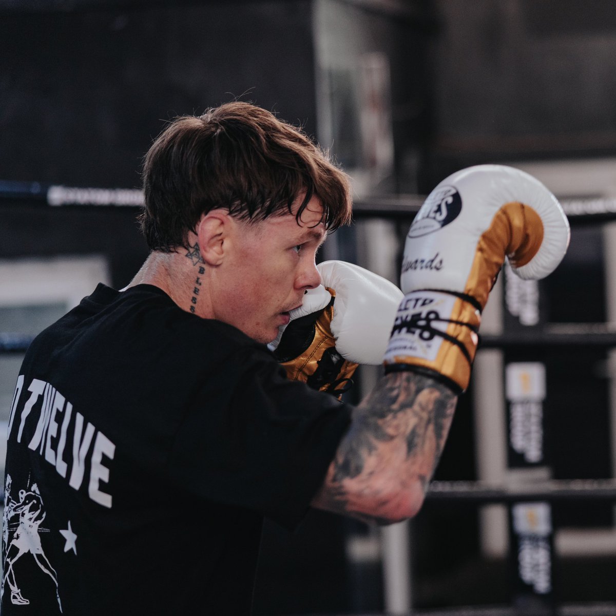 MFProBoxing tweet media