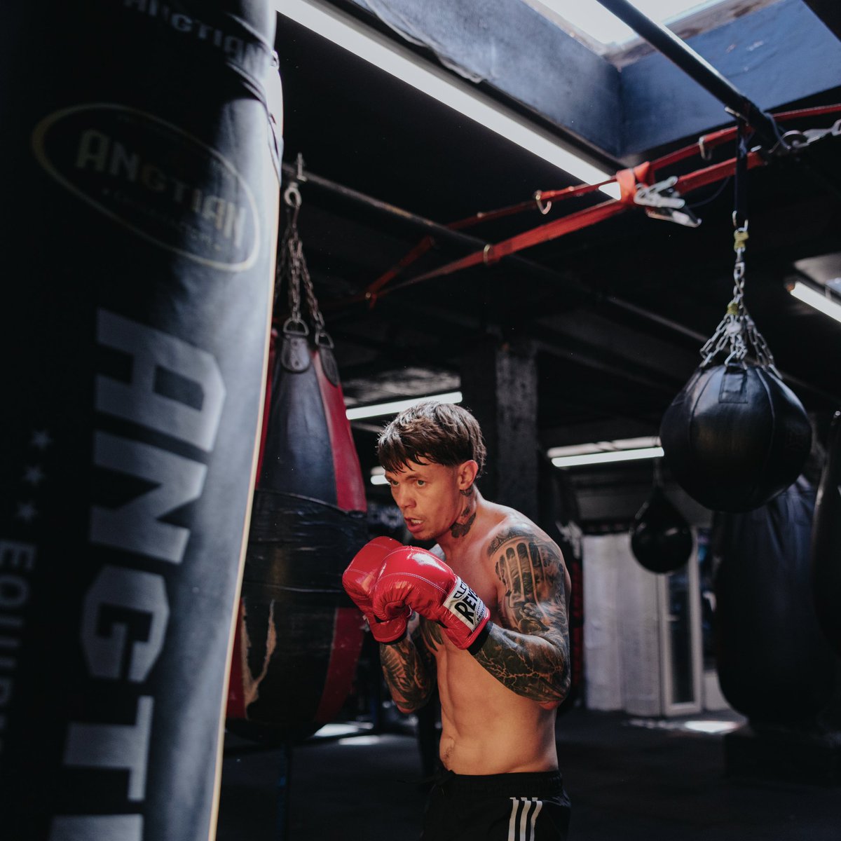 MFProBoxing tweet media
