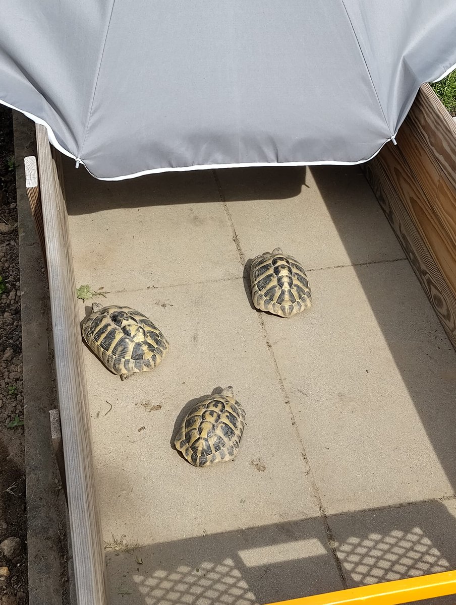 Monika 🌍🕊️💕 tweet media