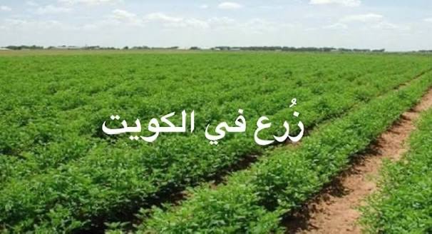 فهد جواد الأربش tweet media