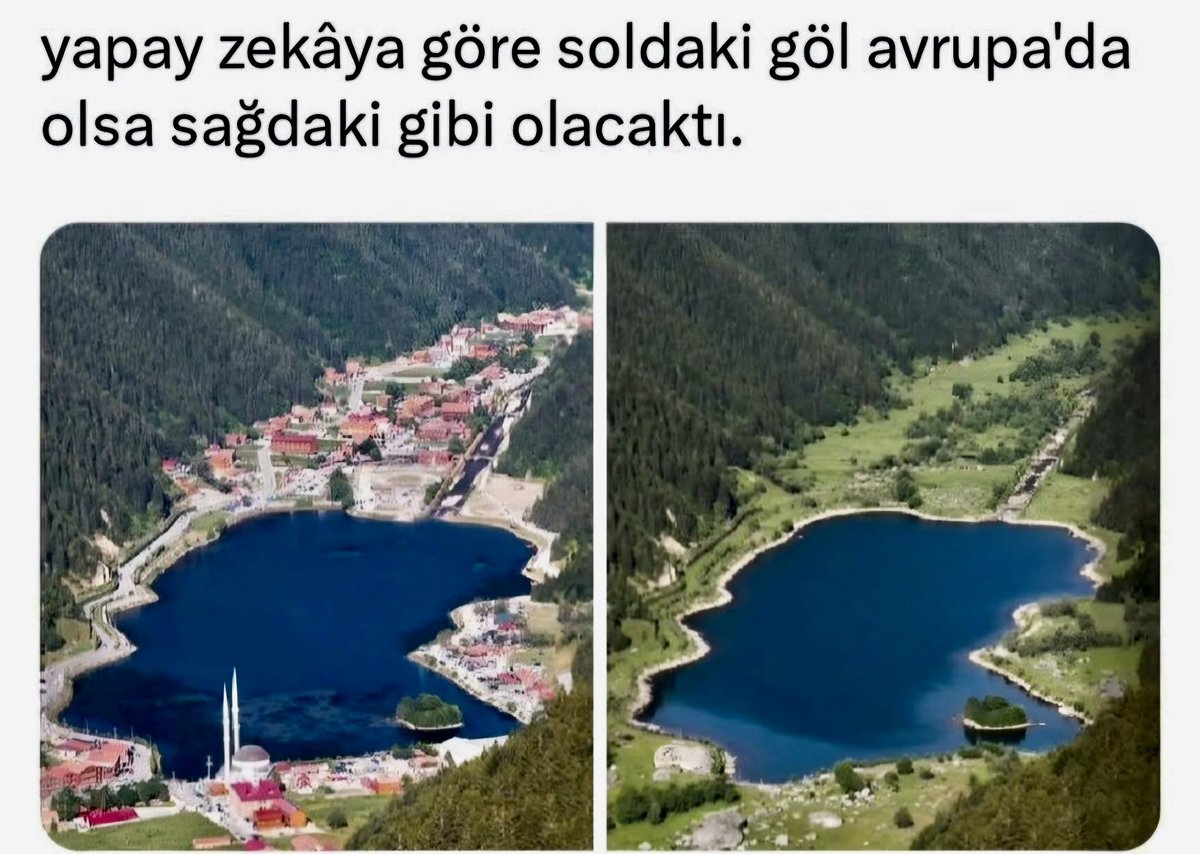 Şerafettin Turpcu tweet media